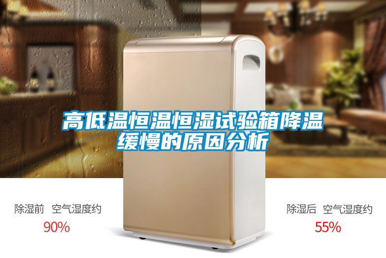 高低溫恒溫恒濕試驗(yàn)箱降溫緩慢的原因分析
