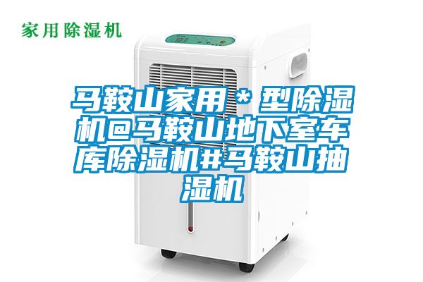 馬鞍山家用*型除濕機@馬鞍山地下室車庫除濕機#馬鞍山抽濕機