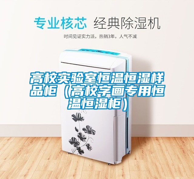 高校實驗室恒溫恒濕樣品柜(高校字畫專用恒溫恒濕柜)