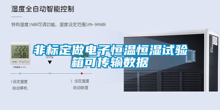 非標定做電子恒溫恒濕試驗箱可傳輸數據