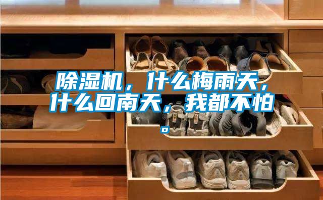 除濕機,什么梅雨天,什么回南天,我都不怕。
