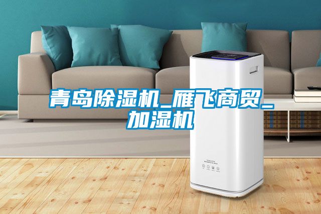 青島除濕機_雁飛商貿_加濕機