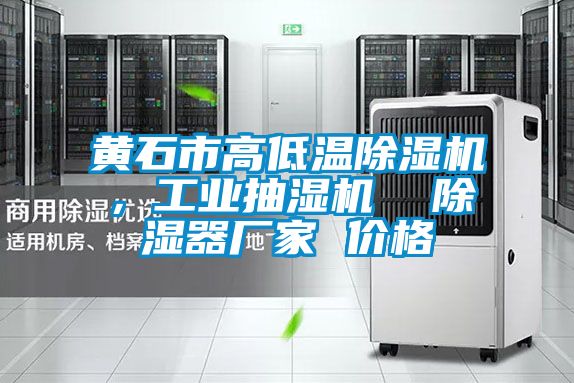 黃石市高低溫除濕機,工業抽濕機 除濕器廠家 價格