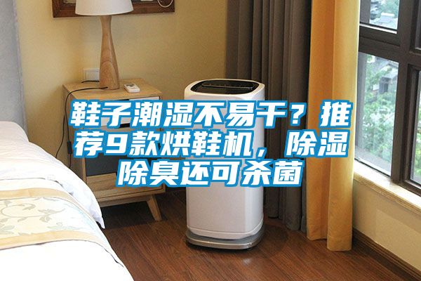 鞋子潮濕不易干?推薦9款烘鞋機,除濕除臭還可殺菌