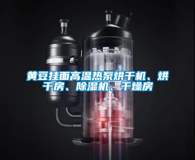黃豆掛面高溫熱泵烘干機、烘干房、除濕機、干燥房