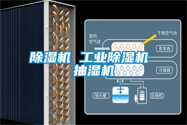 除濕機 工業除濕機 抽濕機