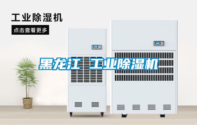 黑龍江 工業(yè)除濕機(jī)