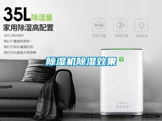 企業(yè)新聞除濕機(jī)除濕效果