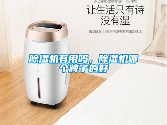 行業新聞除濕機有用嗎，除濕機哪個牌子的好