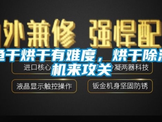 行業(yè)新聞魚干烘干有難度，烘干除濕機(jī)來攻關(guān)