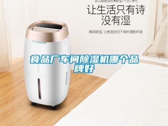 企業新聞食品廠車間除濕機哪個品牌好