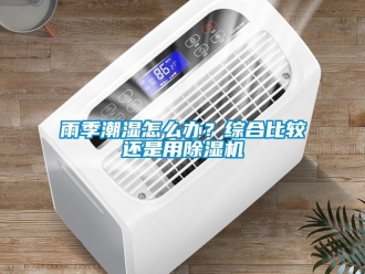 行業新聞雨季潮濕怎么辦？綜合比較還是用除濕機