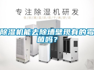 行業新聞除濕機能去除墻壁現有的霉菌嗎？