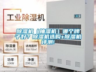 企業新聞除濕機（抽濕機）哪個牌子好？除濕機選購+除濕機評測!