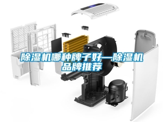 企業新聞除濕機哪種牌子好—除濕機品牌推薦