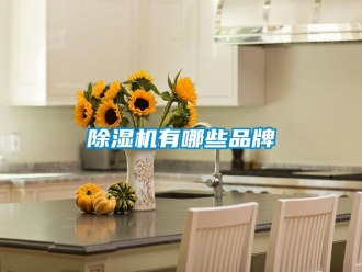 企業新聞除濕機有哪些品牌