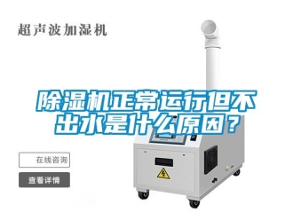 行業新聞除濕機正常運行但不出水是什么原因？