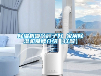 企業新聞除濕機哪個牌子好 家用除濕機品牌介紹【詳解】