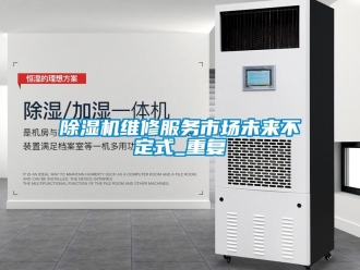 行業新聞除濕機維修服務市場未來不定式_重復