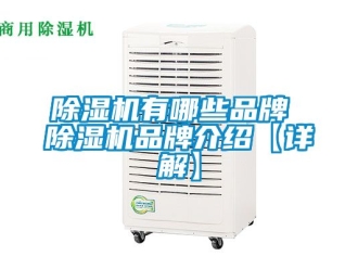 企業新聞除濕機有哪些品牌 除濕機品牌介紹【詳解】