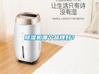 企業新聞除濕機哪個品牌好？