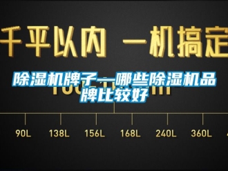 企業(yè)新聞除濕機牌子—哪些除濕機品牌比較好