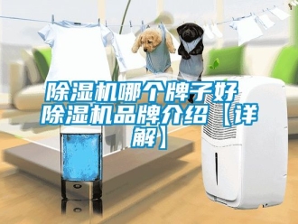 企業新聞除濕機哪個牌子好 除濕機品牌介紹【詳解】