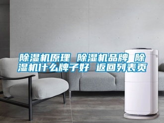 企業新聞除濕機原理 除濕機品牌 除濕機什么牌子好 返回列表頁