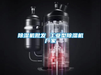 企業新聞除濕機批發 工業型除濕機廠家