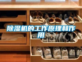 企業新聞除濕機的工作原理和作用