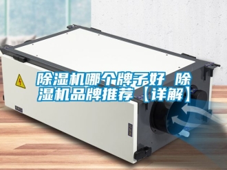 企業新聞除濕機哪個牌子好 除濕機品牌推薦【詳解】