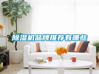 企業新聞除濕機品牌推薦有哪些