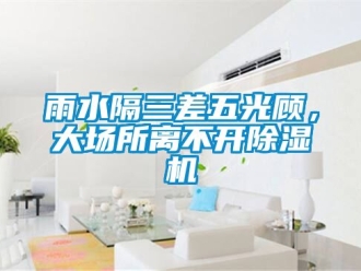 行業新聞雨水隔三差五光顧，大場所離不開除濕機