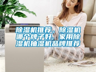 企業(yè)新聞除濕機(jī)推薦，除濕機(jī)哪個牌子好, 家用除濕機(jī)抽濕機(jī)品牌推薦