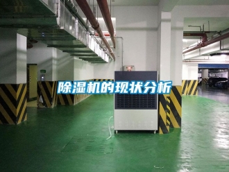 企業(yè)新聞除濕機(jī)的現(xiàn)狀分析