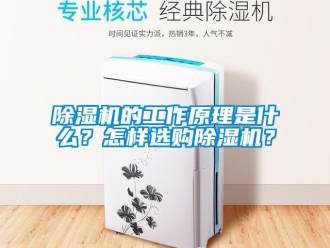 企業新聞除濕機的工作原理是什么？怎樣選購除濕機？