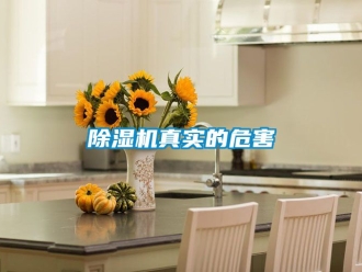 行業(yè)新聞除濕機(jī)真實的危害