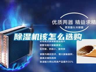 行業(yè)新聞除濕機該怎么選購