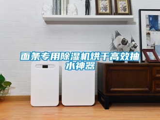 行業新聞面條專用除濕機烘干高效抽水神器