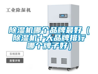 企業新聞除濕機哪個品牌最好（除濕機十大品牌排行哪個牌子好）