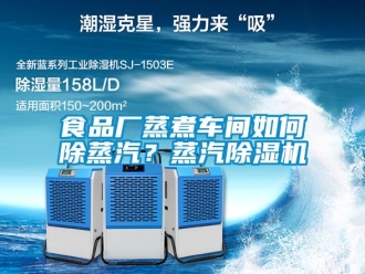 企業新聞食品廠蒸煮車間如何除蒸汽？蒸汽除濕機