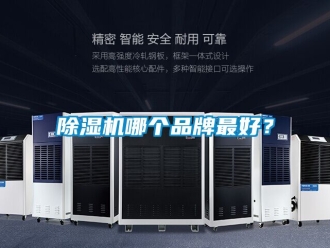 企業新聞除濕機哪個品牌最好？