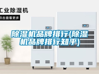 企業新聞除濕機品牌排行(除濕機品牌排行知乎)