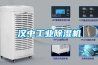 漢中工業除濕機