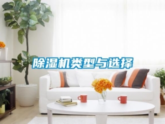 行業(yè)新聞除濕機(jī)類型與選擇