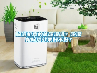 行業(yè)新聞除濕機(jī)真的能除濕嗎？除濕機(jī)除濕效果好不好？