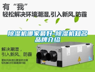 企業新聞除濕機哪家最好-除濕機知名品牌介紹