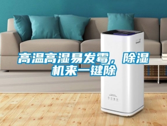 行業(yè)新聞高溫高濕易發(fā)霉，除濕機來一鍵除