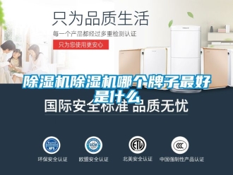 企業(yè)新聞除濕機(jī)除濕機(jī)哪個(gè)牌子最好是什么