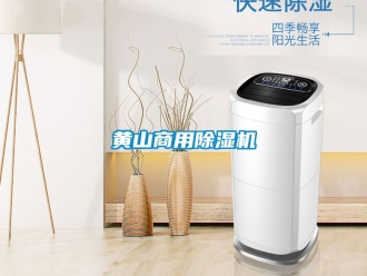 常見問題黃山商用除濕機(jī)